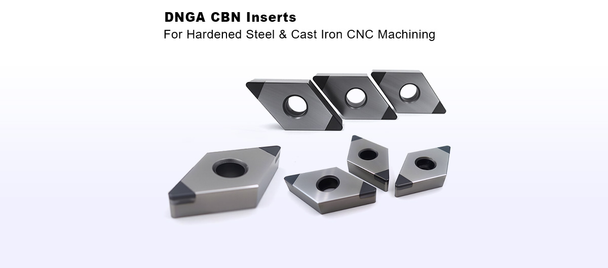 DNGA-CBN-Inserts-banner