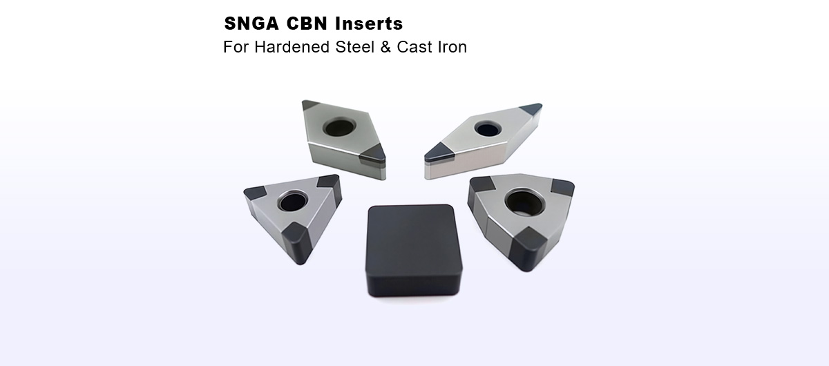 SNGA-CBN-Inserts-banner