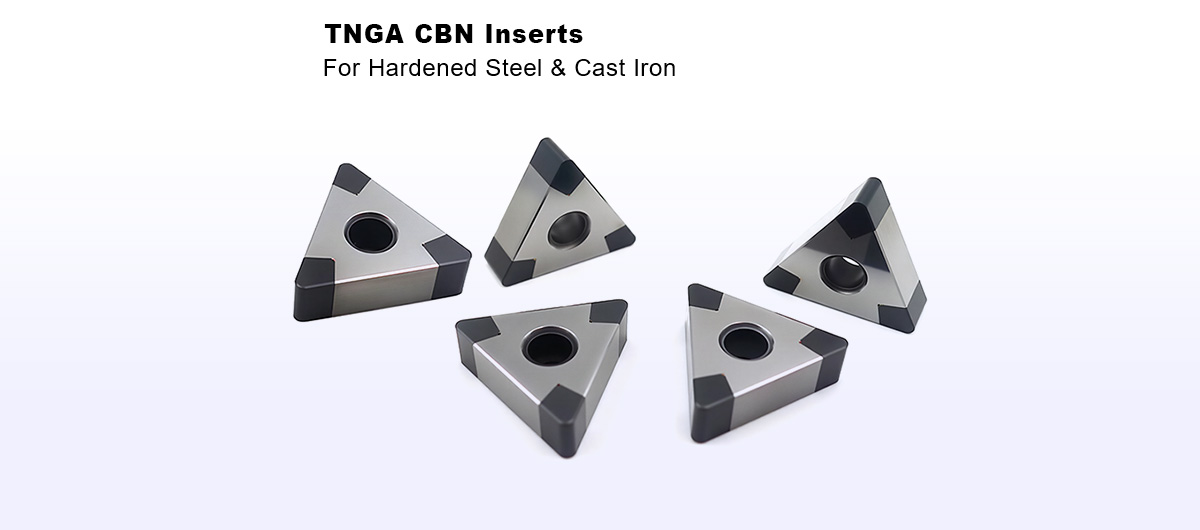 TNGA-CBN-Inserts-banner