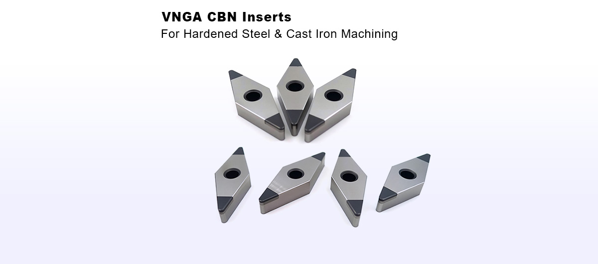 VNGA-CBN-Inserts-banner